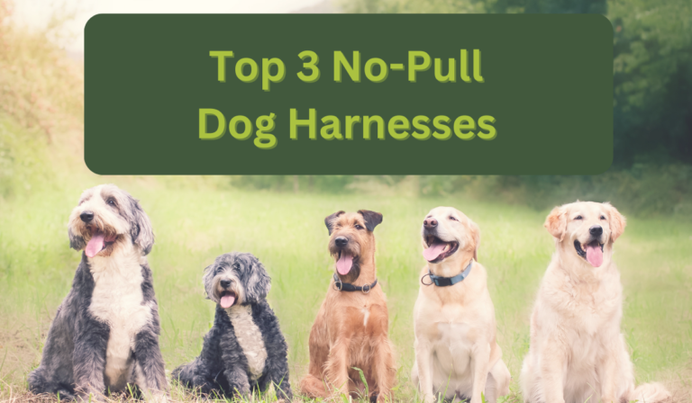 Top 3 No Pull Dog Harnesses