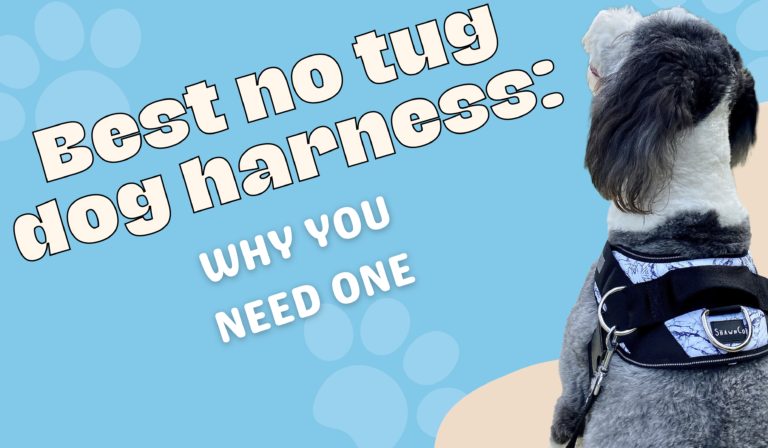 Best No Tug Dog Harness: Why You Need One