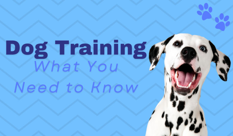 Dog Training